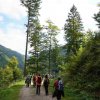 09 b Schluchensteig Etappe 4 - 6